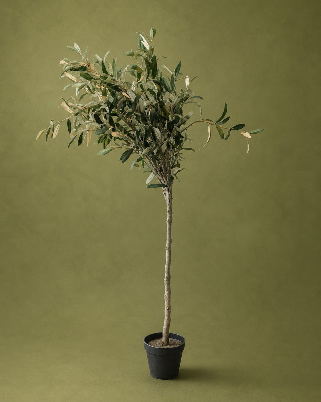 Libra -Artificial Green Plant