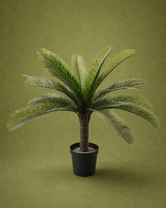 Moana -Artificial Green Plant