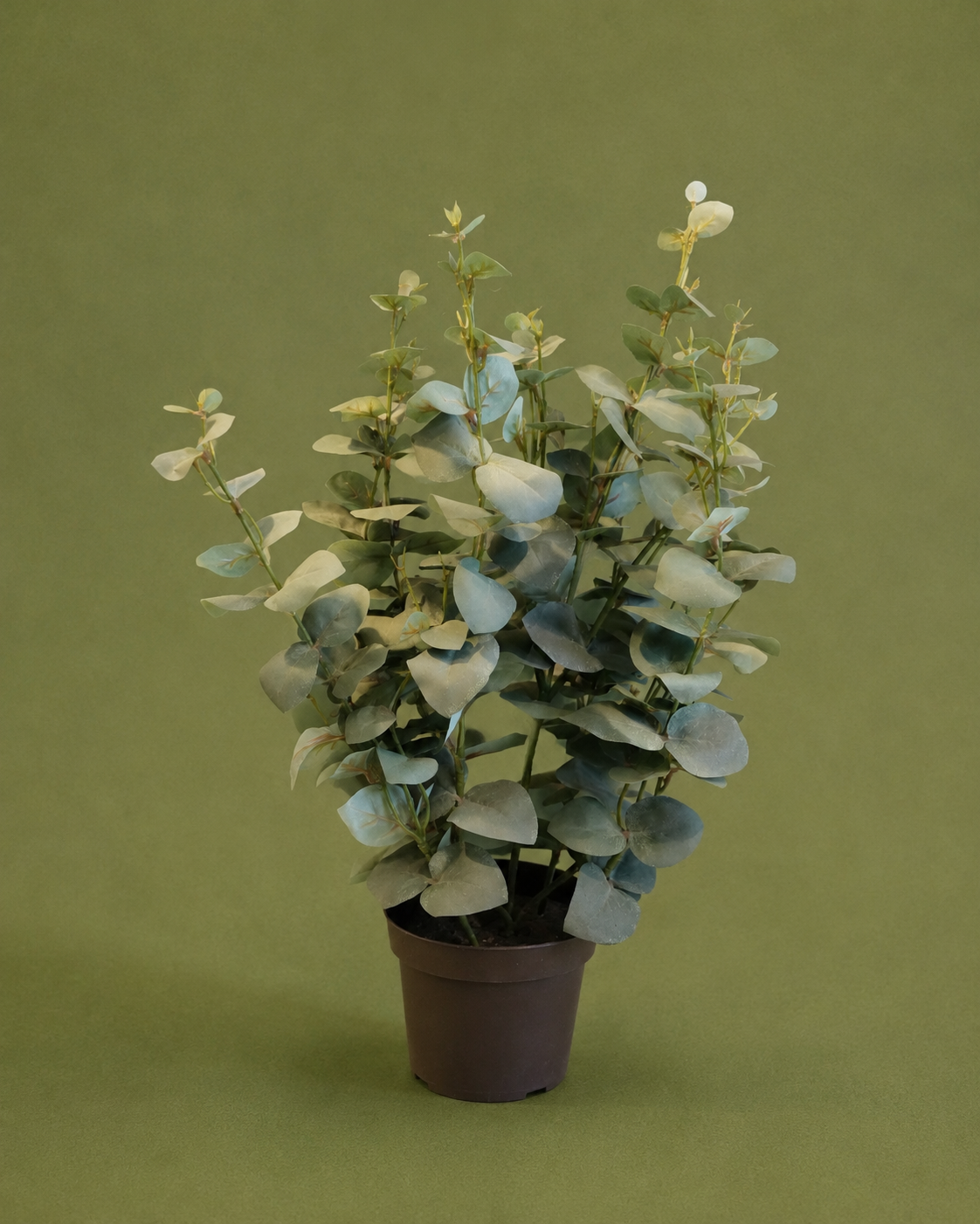 Artificial Eucalyptus Indoor Plant – Medium