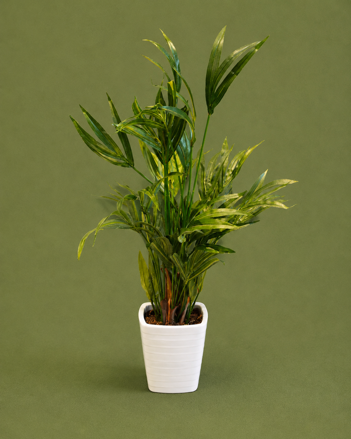 Artificial Areca Palm in White Planter