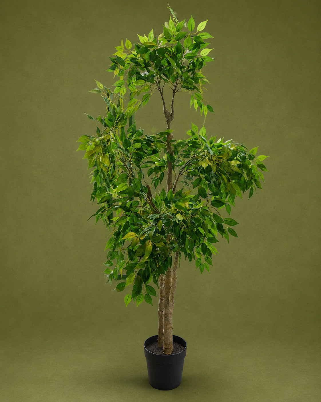 Magnolia -Artificial Green Plant