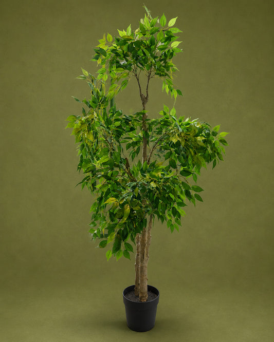 Magnolia -Artificial Green Plant