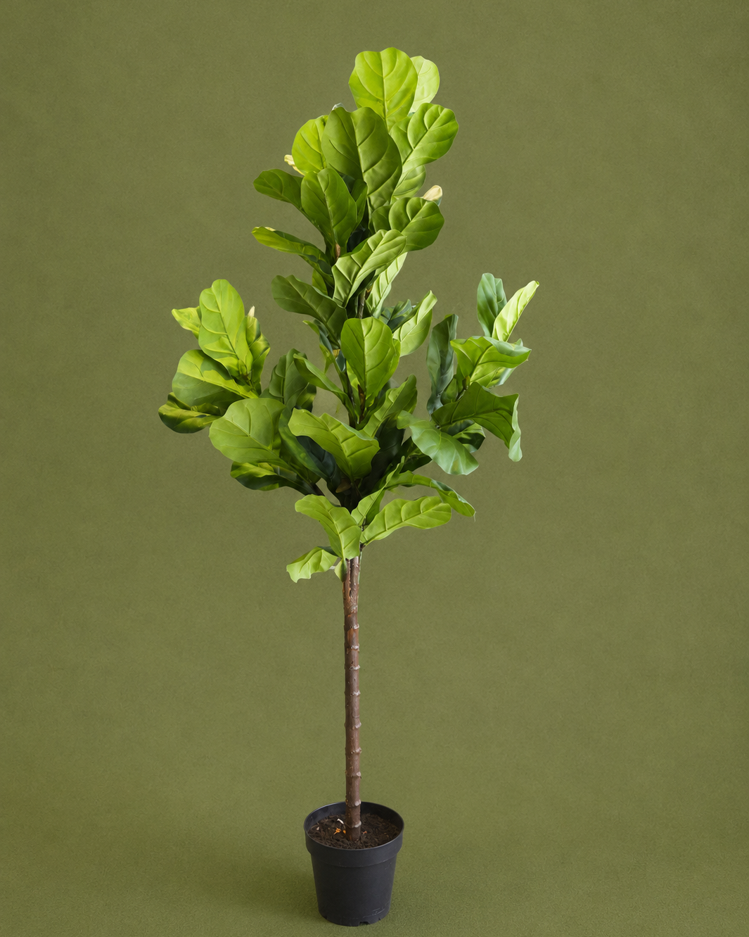Artificial Fiddle Leaf Fig Tree in Pot