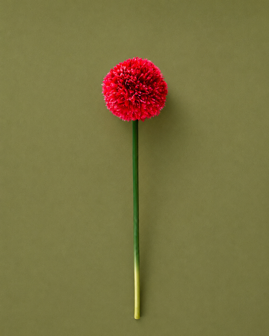 Lucy Ball