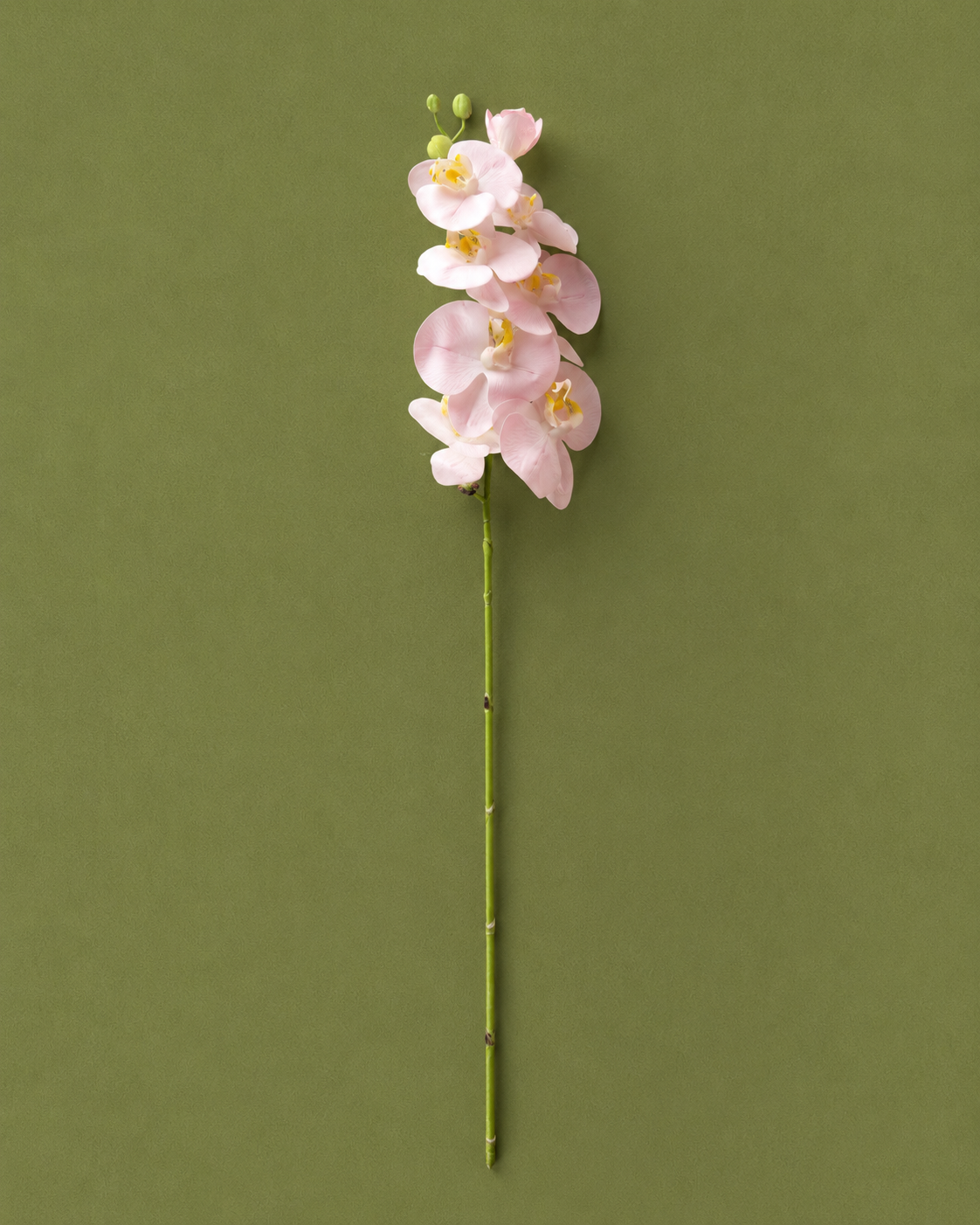 Single Orchid Artificial