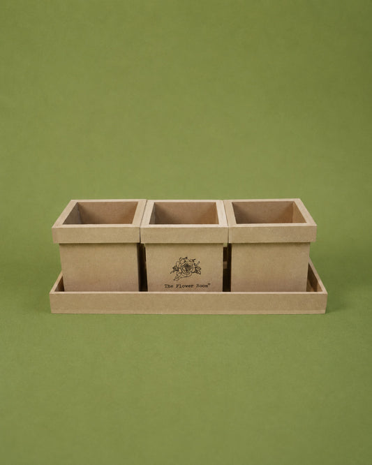 Wooden Tray
