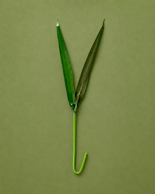 Greens