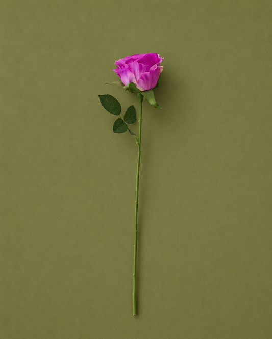 Single Rose