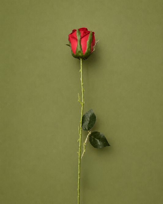 Single Rose Artificial