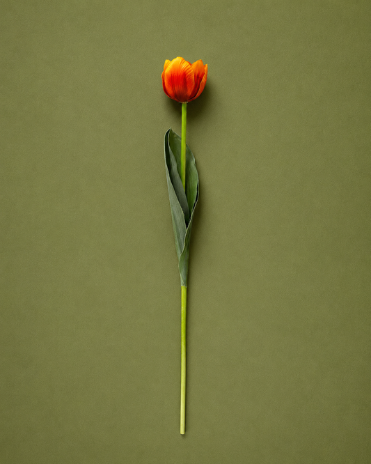 Tulip Artificial